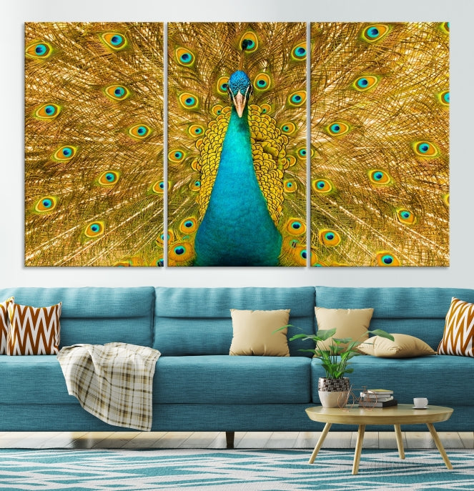 Wall Art Peacock Canvas Print, Peacock Feather Wall Art Canvas Print