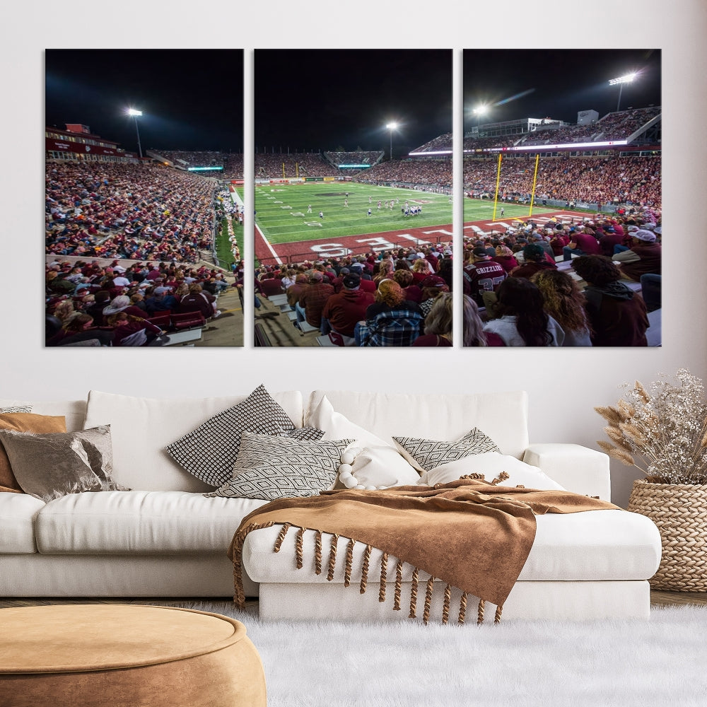 Washington Grizzy Football Stadium American Football Wall Art Canvas Print, Stadium Sport Wall Art Print