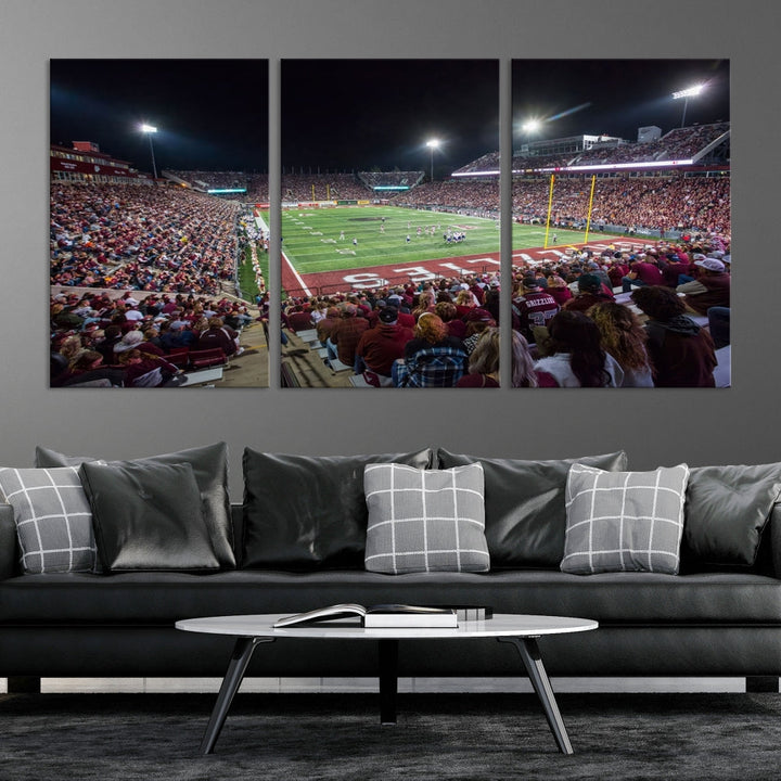 Washington Grizzy Football Stadium American Football Wall Art Canvas Print, Stadium Sport Wall Art Print