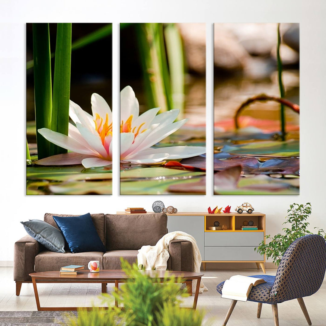 White Lotus Flower on Water Lily