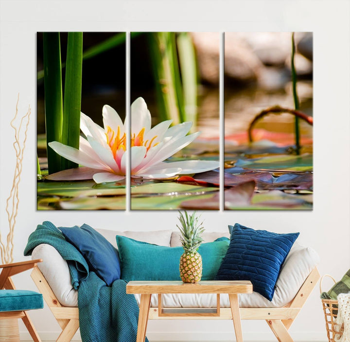 White Lotus Flower on Water Lily