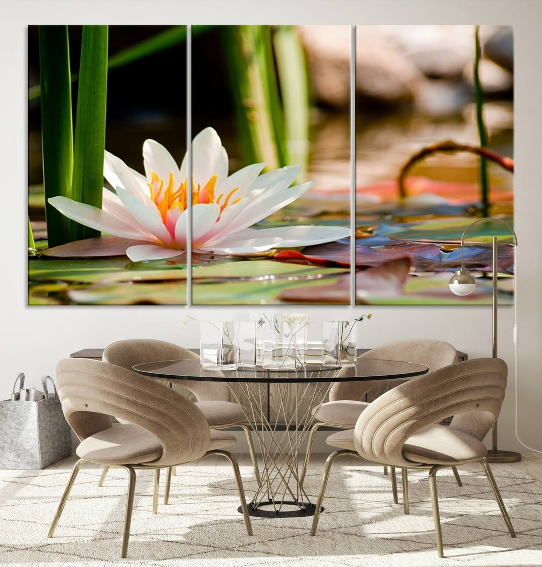 White Lotus Flower on Water Lily