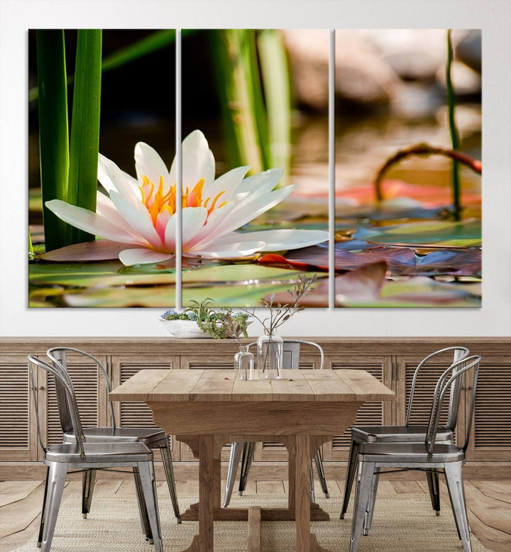 White Lotus Flower on Water Lily