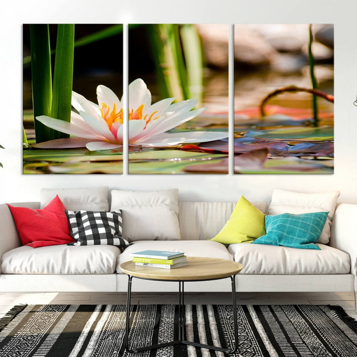 White Lotus Flower on Water Lily