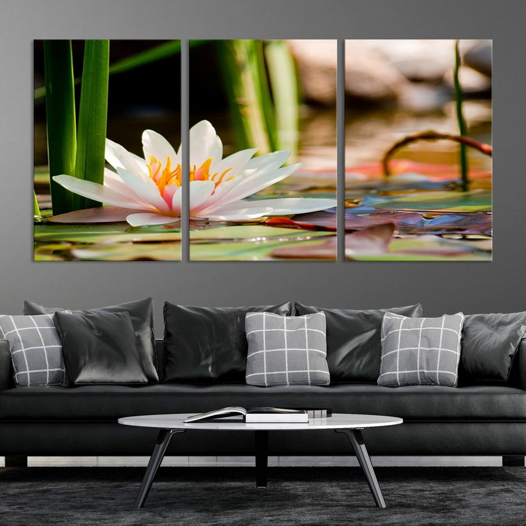 White Lotus Flower on Water Lily