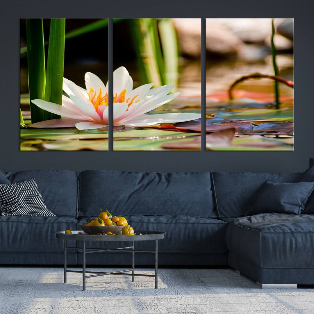 White Lotus Flower on Water Lily