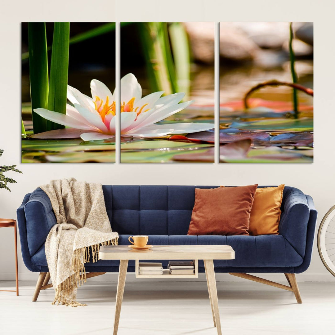 White Lotus Flower on Water Lily