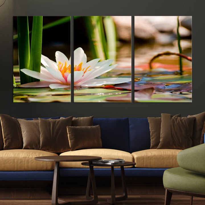 White Lotus Flower on Water Lily