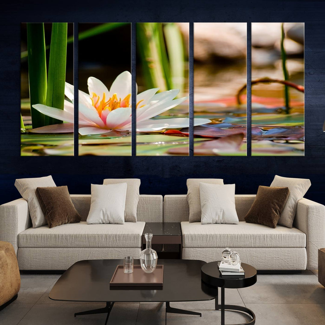 White Lotus Flower on Water Lily