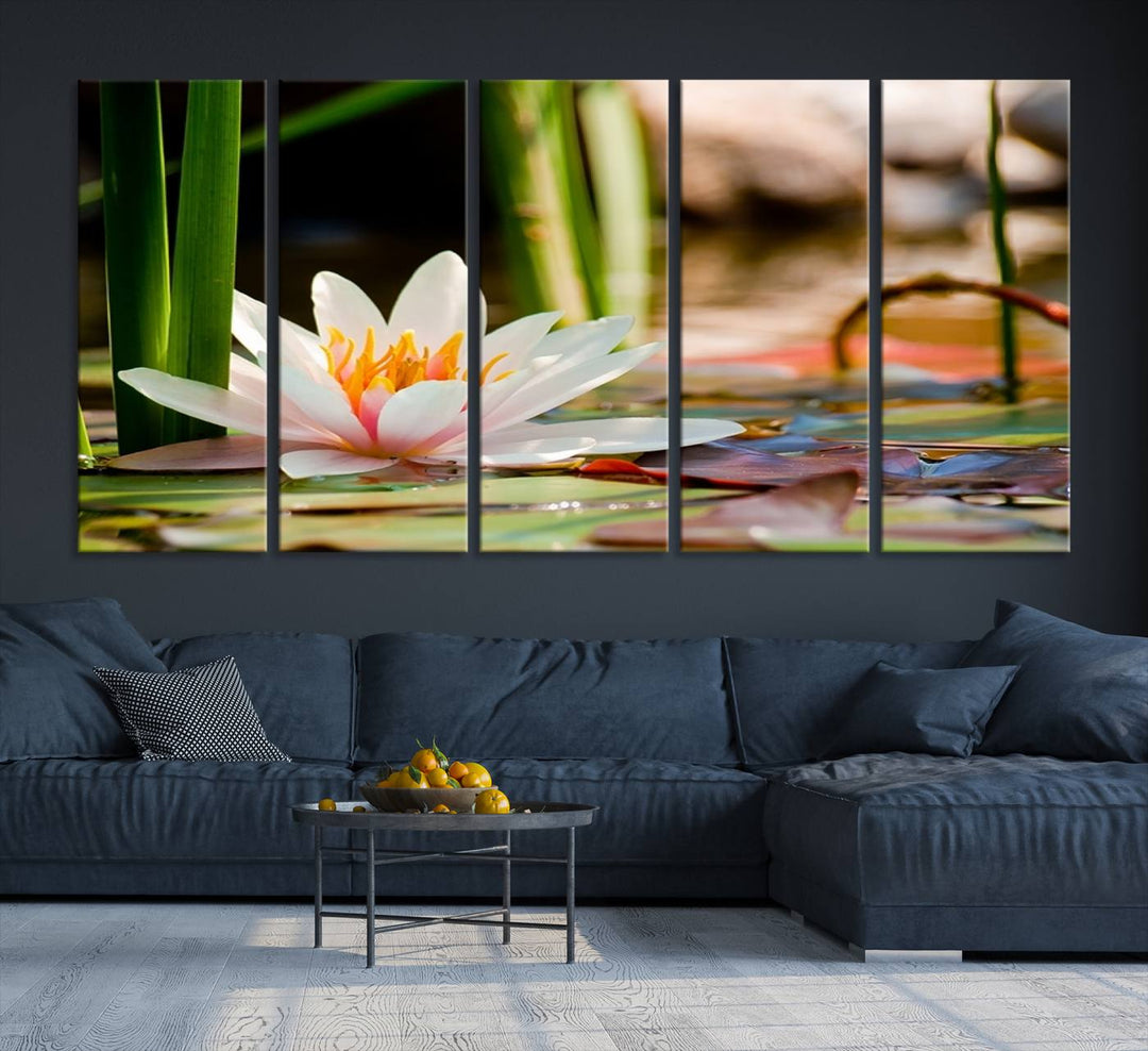 White Lotus Flower on Water Lily