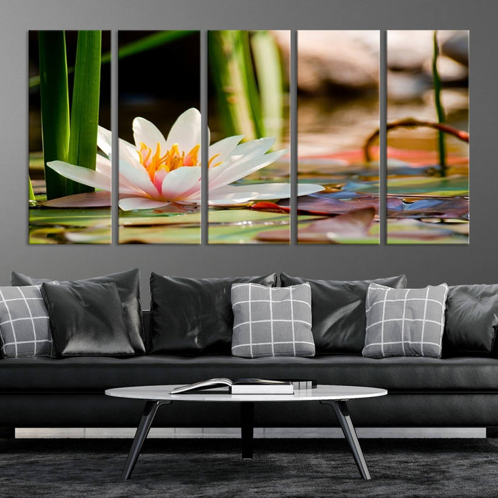 White Lotus Flower on Water Lily