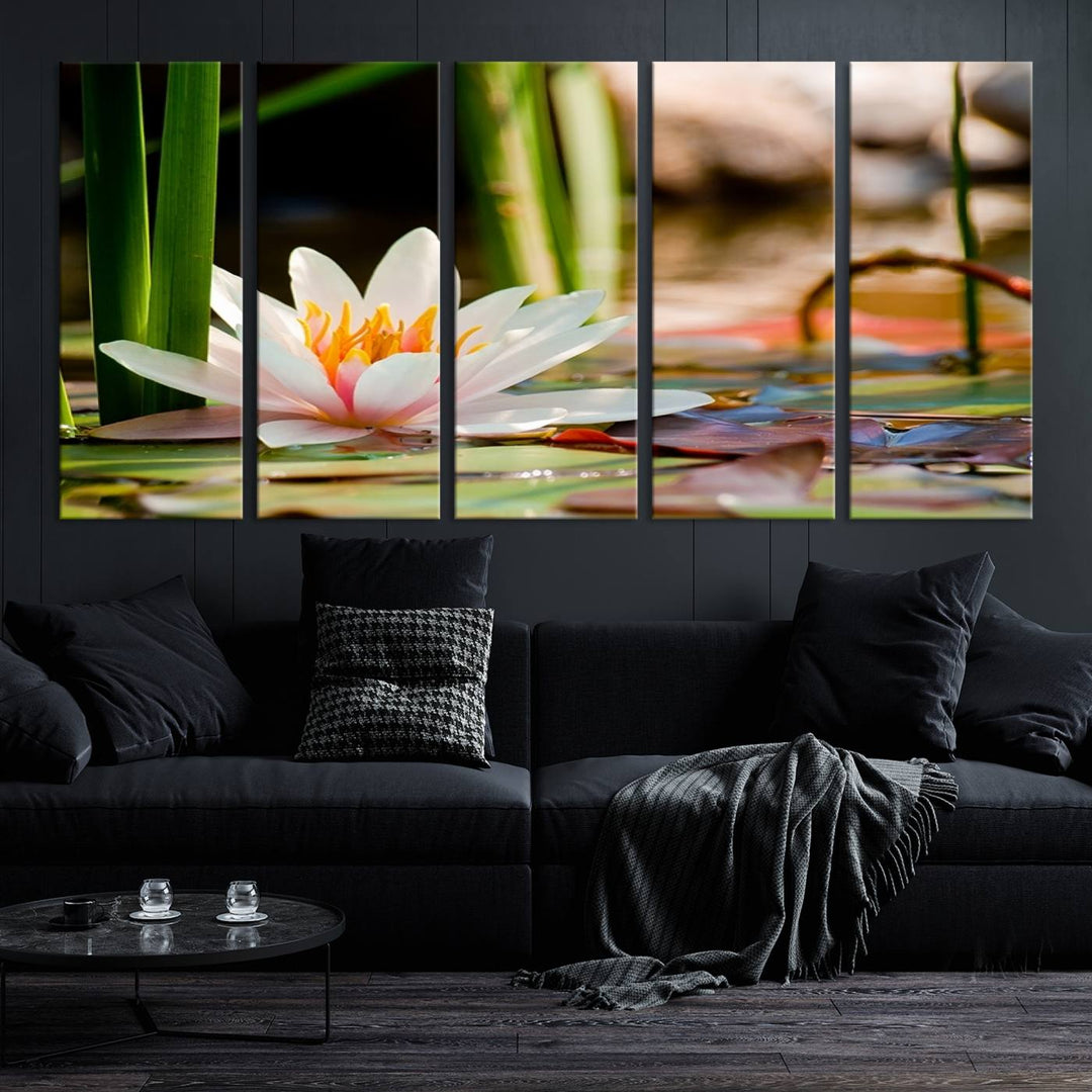 White Lotus Flower on Water Lily