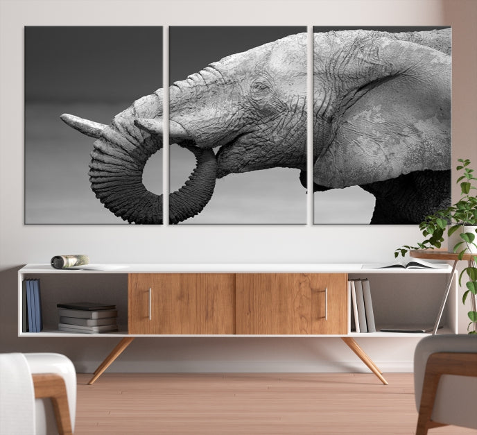 Wild Elephant CloseUp Animal Wall Art Large Canvas Print Framed