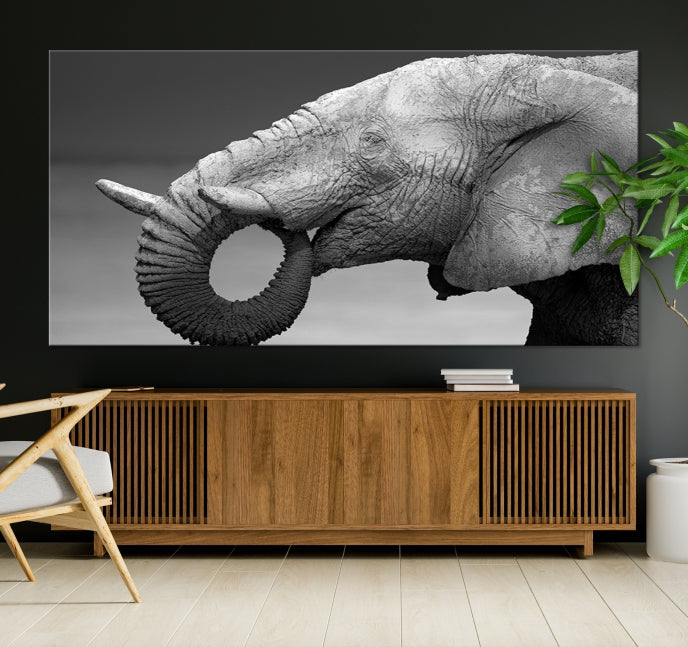 Wild Elephant CloseUp Animal Wall Art Large Canvas Print Framed