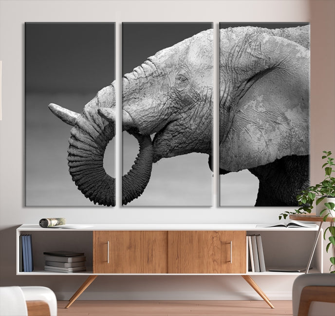 Wild Elephant CloseUp Animal Wall Art Large Canvas Print Framed