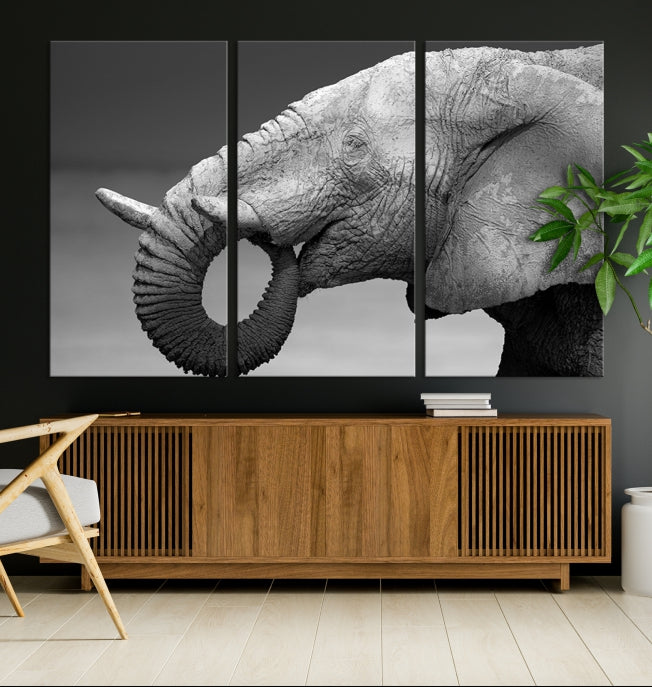 Wild Elephant CloseUp Animal Wall Art Large Canvas Print Framed