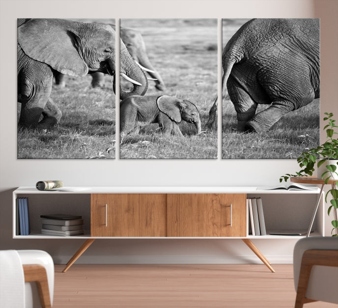 Wild Elephant Family Black and White Animal Wall Art Canvas Print