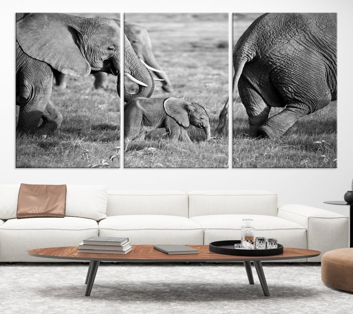 Wild Elephant Family Black and White Animal Wall Art Canvas Print