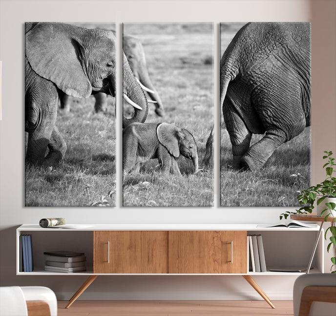 Wild Elephant Family Black and White Animal Wall Art Canvas Print