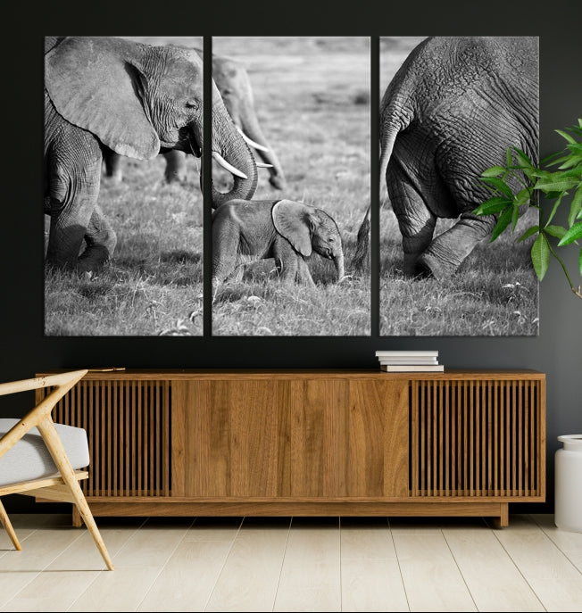 Wild Elephant Family Black and White Animal Wall Art Canvas Print