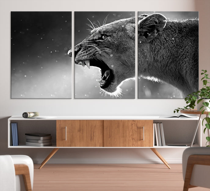 Wild Lioness Black and White Anial Portrait Large Wall Art Canvas Print