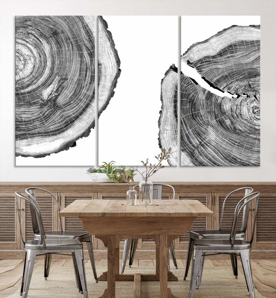 Wood Tree Ring Wall Art Canvas Prints, Lake House and Farmhouse Wall Art Decor