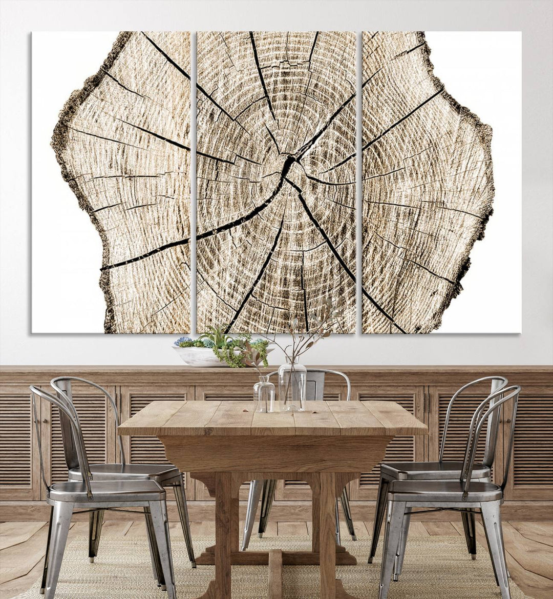 Wood Tree Ring Wall Art Canvas Prints, Lake House and Farmhouse Wall Art Decor