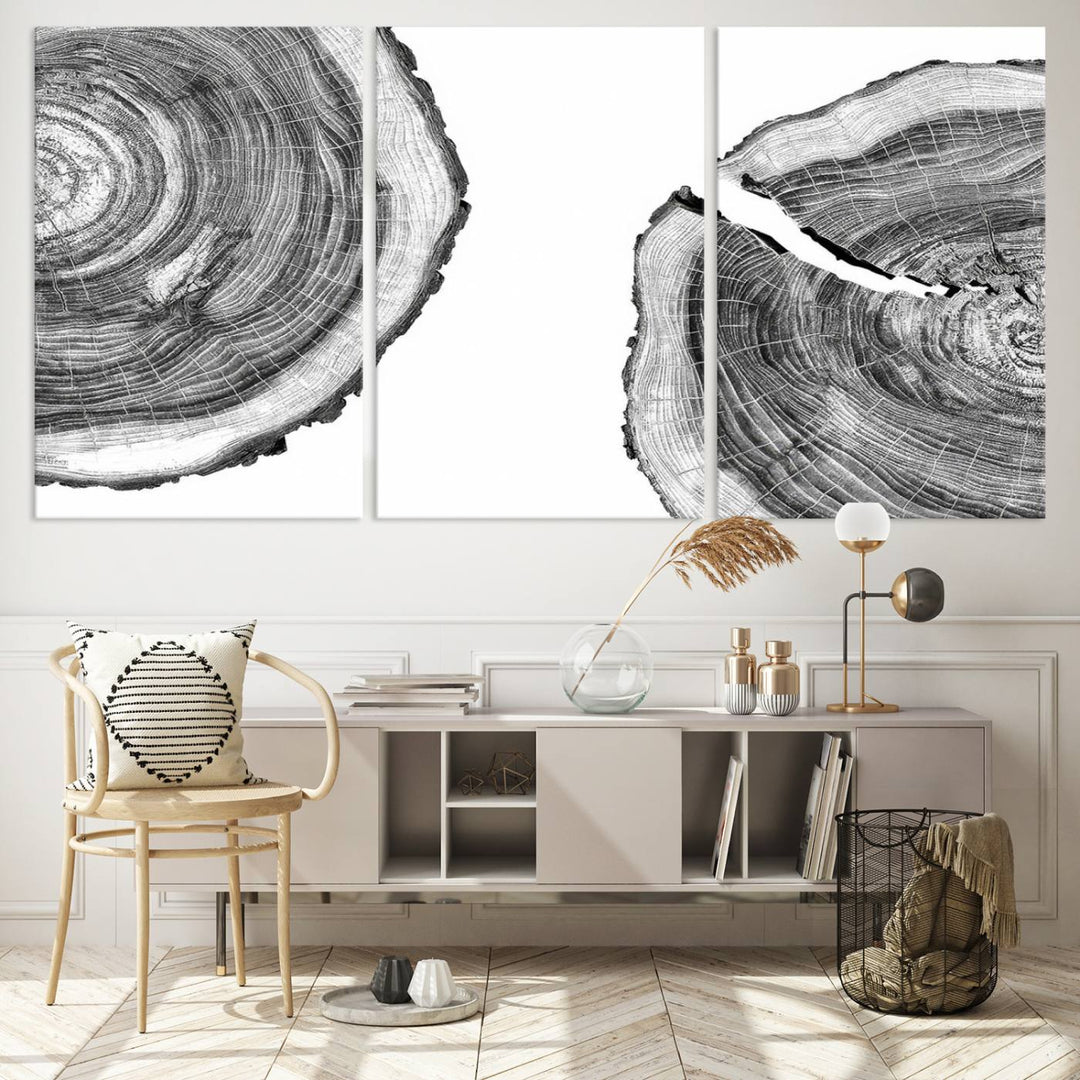 Wood Tree Ring Wall Art Canvas Prints, Lake House and Farmhouse Wall Art Decor