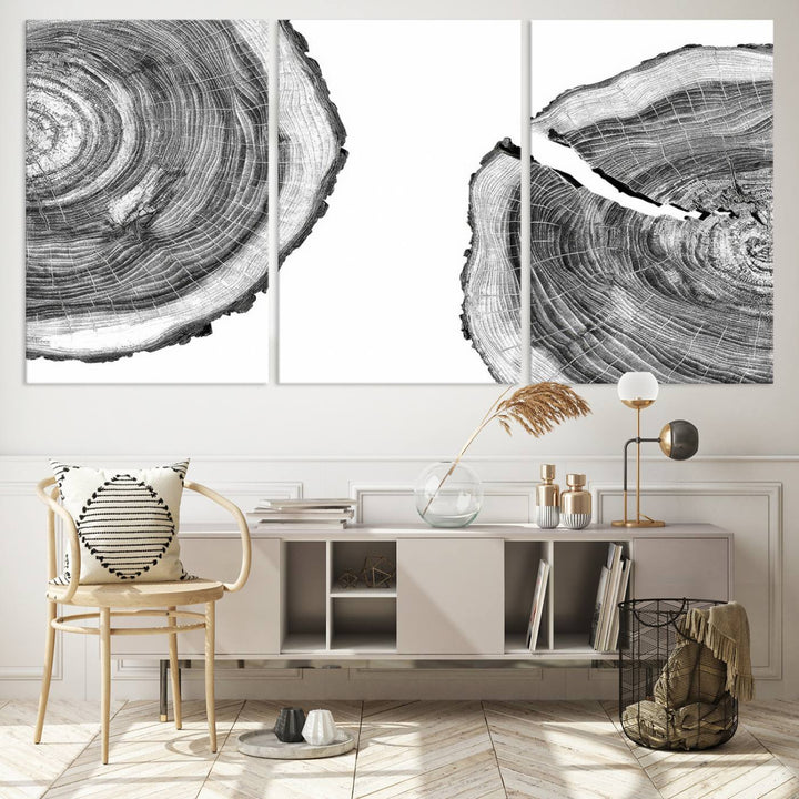 Wood Tree Ring Wall Art Canvas Prints, Lake House and Farmhouse Wall Art Decor