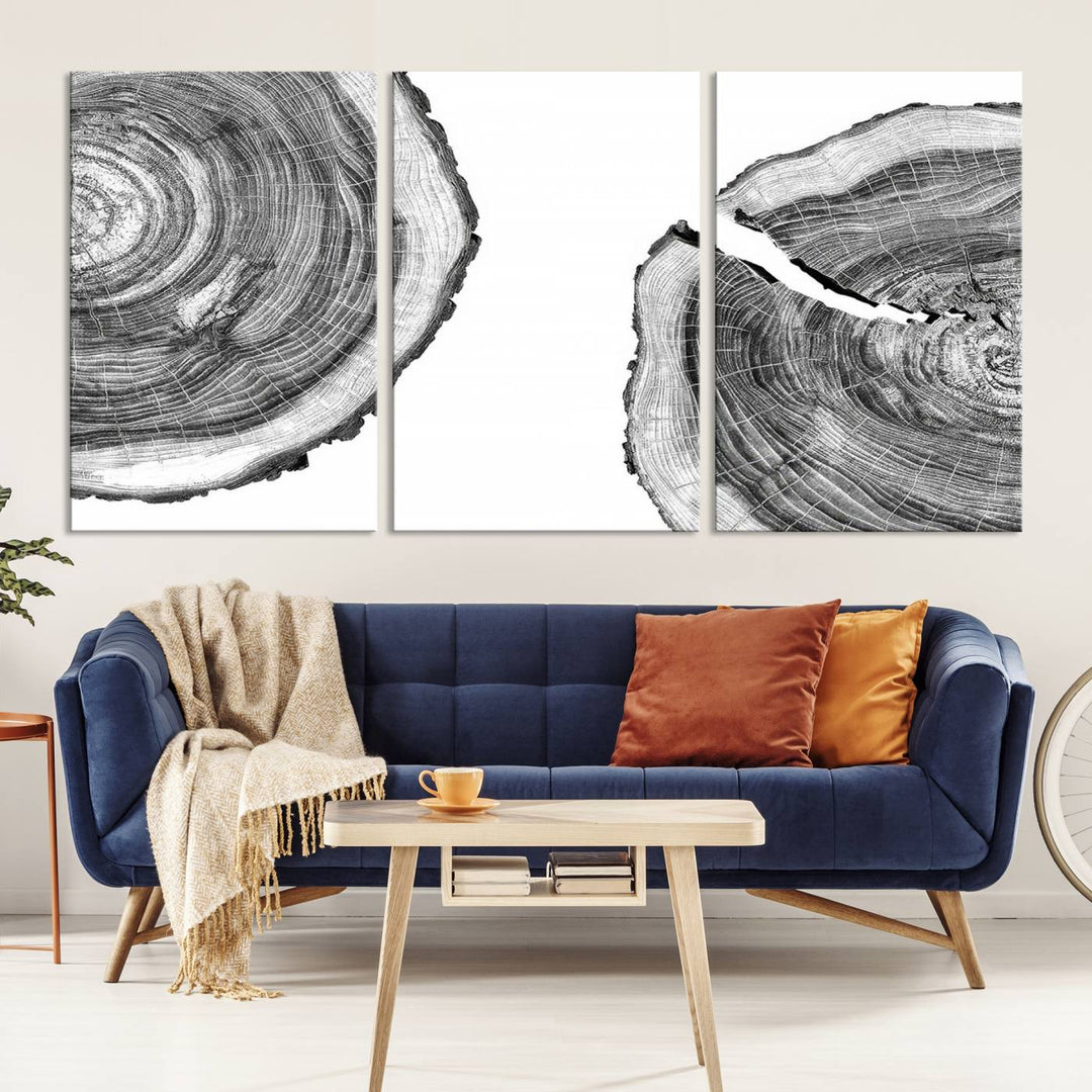 Wood Tree Ring Wall Art Canvas Prints, Lake House and Farmhouse Wall Art Decor