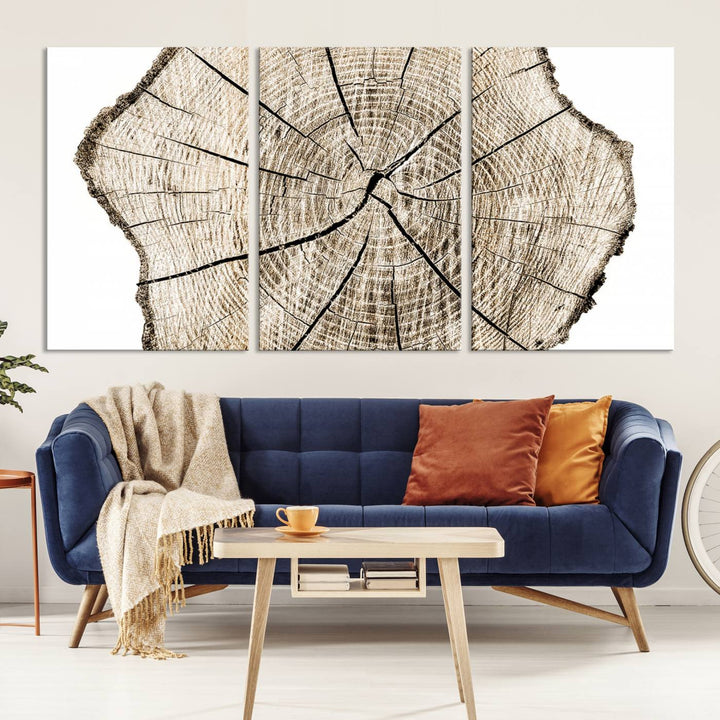 Wood Tree Ring Wall Art Canvas Prints, Lake House and Farmhouse Wall Art Decor