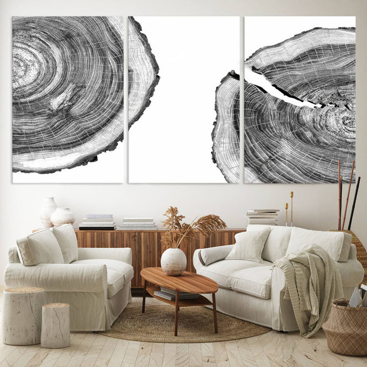 Wood Tree Ring Wall Art Canvas Prints, Lake House and Farmhouse Wall Art Decor