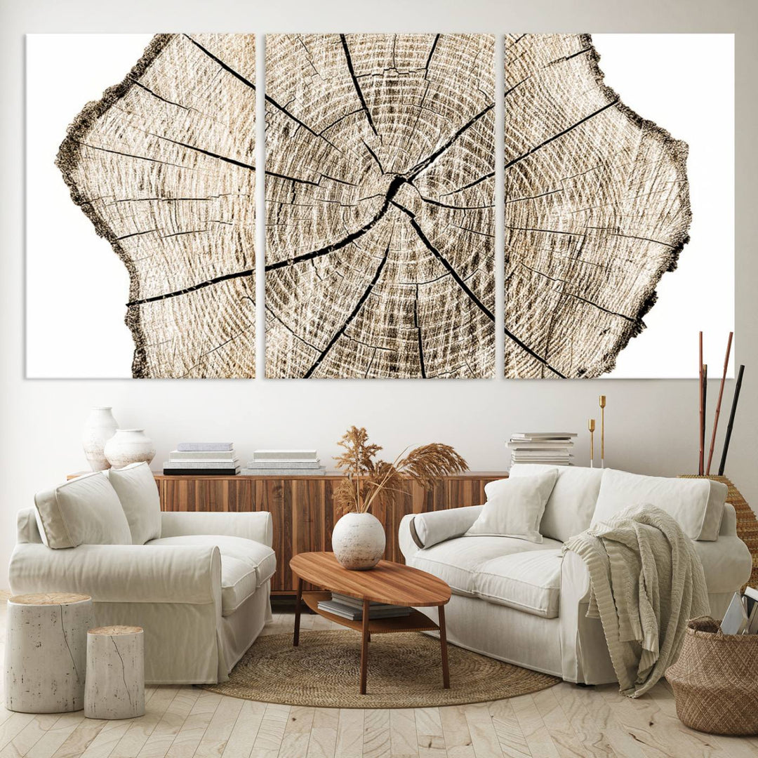 Wood Tree Ring Wall Art Canvas Prints, Lake House and Farmhouse Wall Art Decor