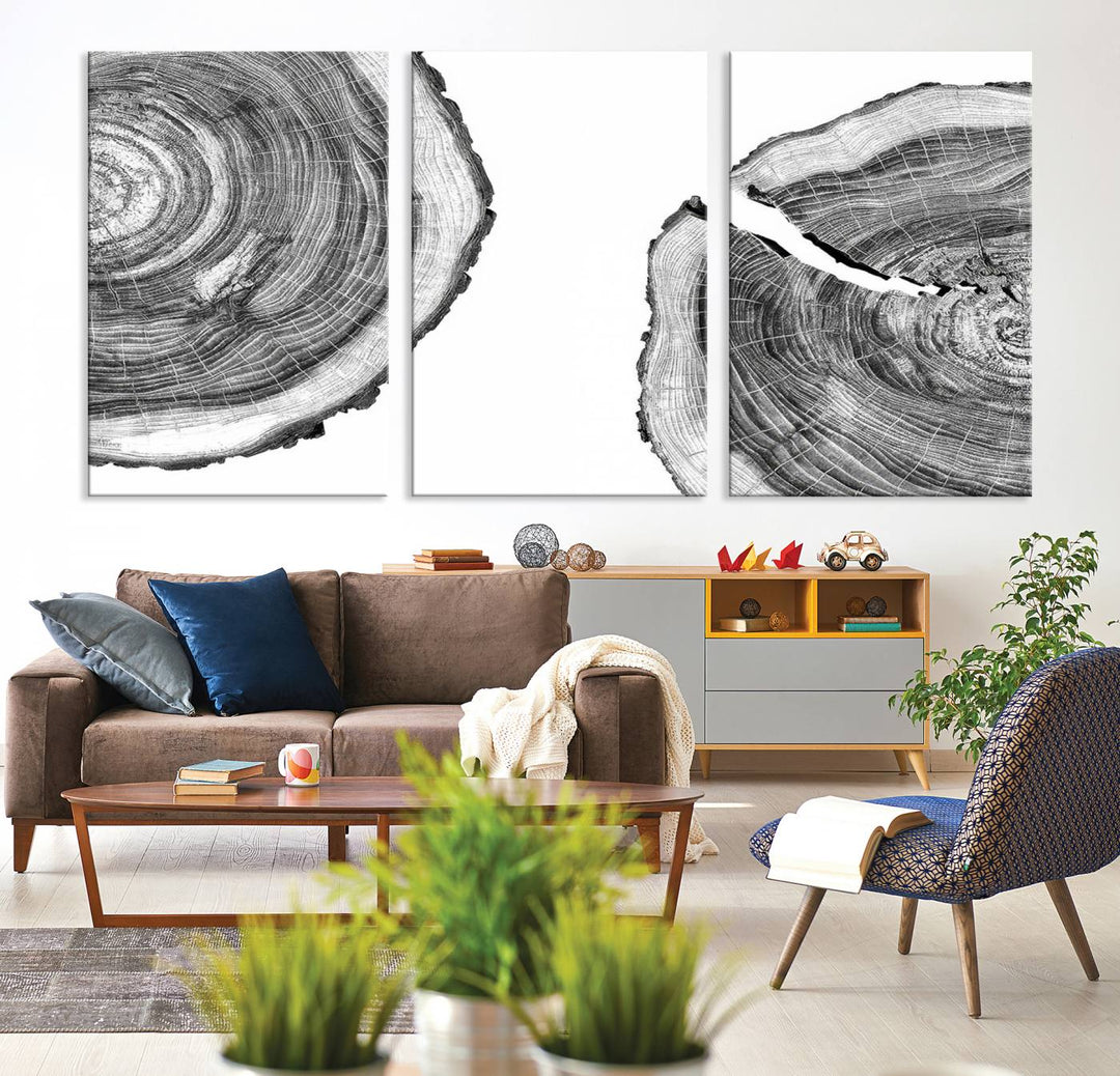 Wood Tree Ring Wall Art Canvas Prints, Lake House and Farmhouse Wall Art Decor