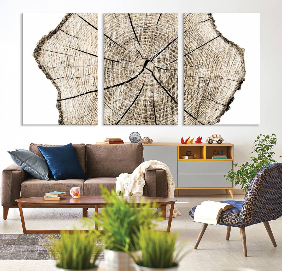 Wood Tree Ring Wall Art Canvas Prints, Lake House and Farmhouse Wall Art Decor