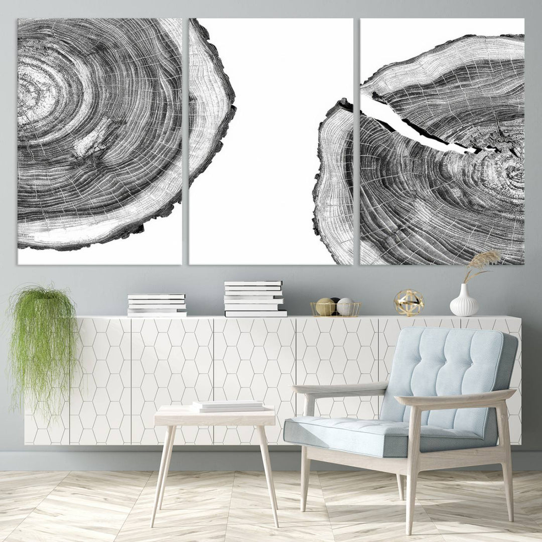 Wood Tree Ring Wall Art Canvas Prints, Lake House and Farmhouse Wall Art Decor