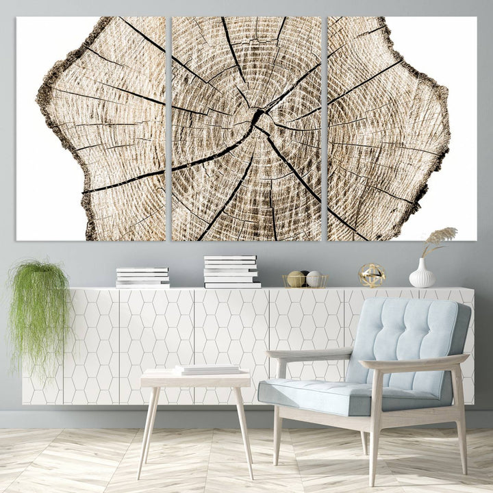 Wood Tree Ring Wall Art Canvas Prints, Lake House and Farmhouse Wall Art Decor