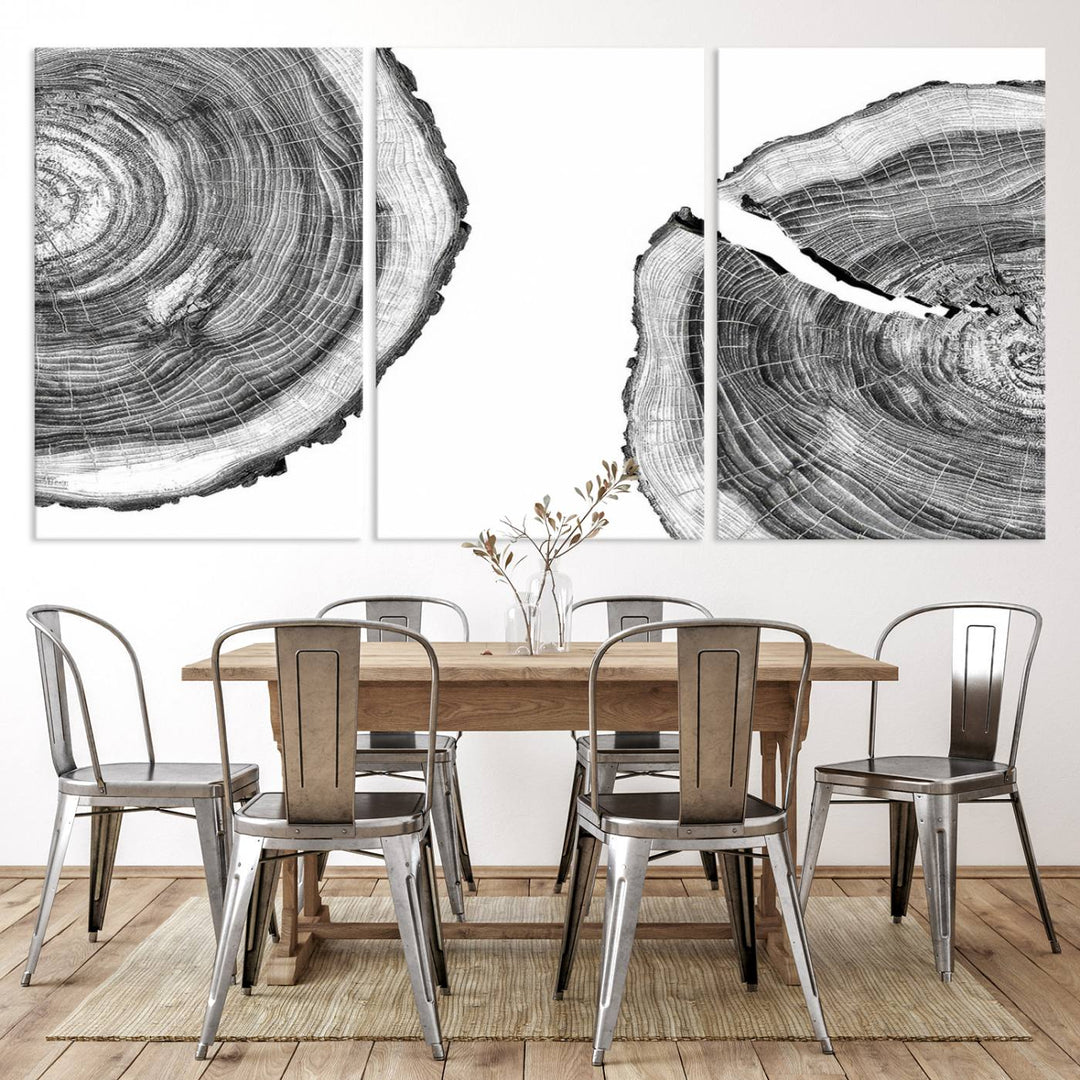 Wood Tree Ring Wall Art Canvas Prints, Lake House and Farmhouse Wall Art Decor