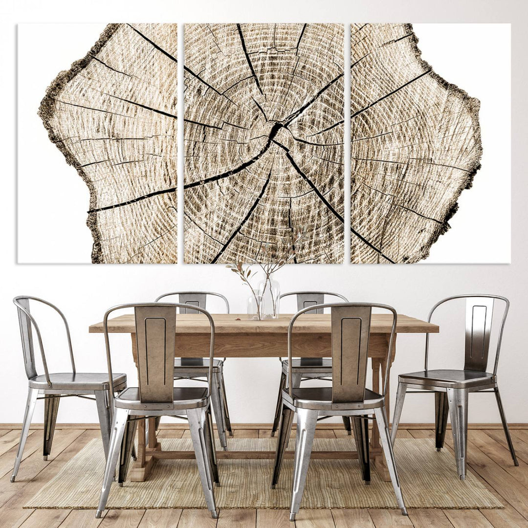 Wood Tree Ring Wall Art Canvas Prints, Lake House and Farmhouse Wall Art Decor