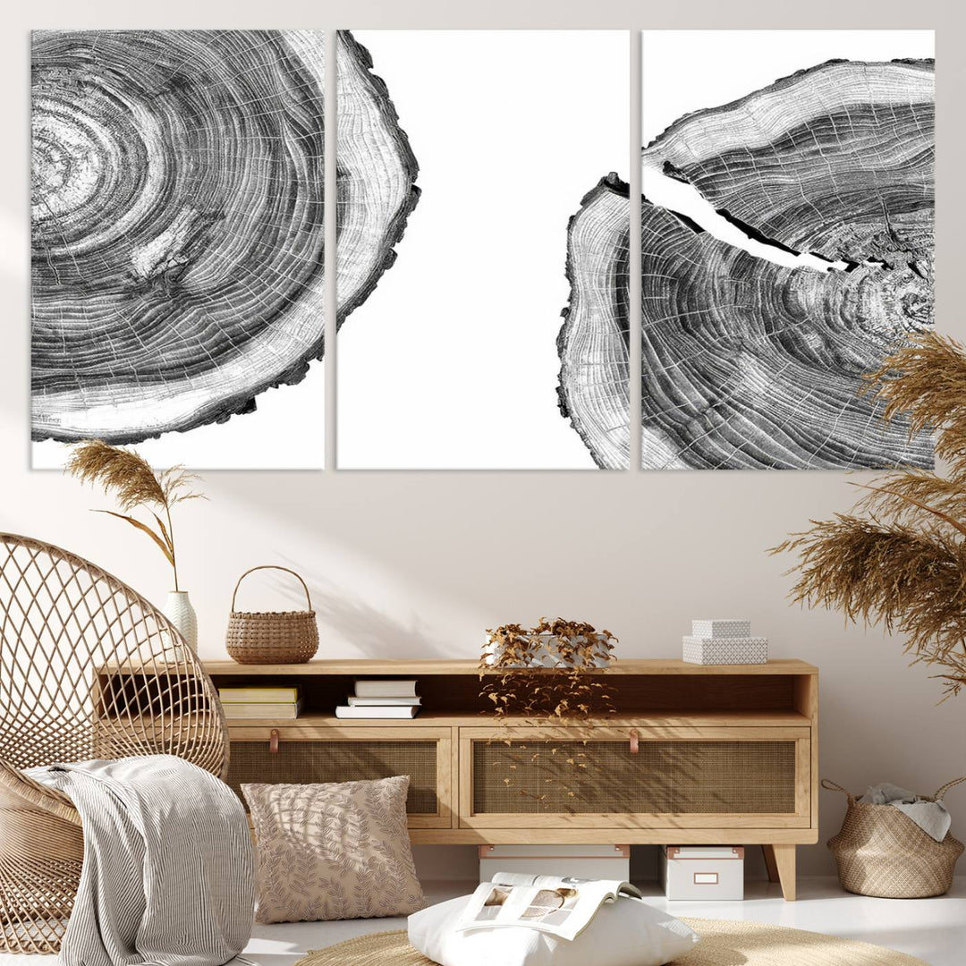 Wood Tree Ring Wall Art Canvas Prints, Lake House and Farmhouse Wall Art Decor