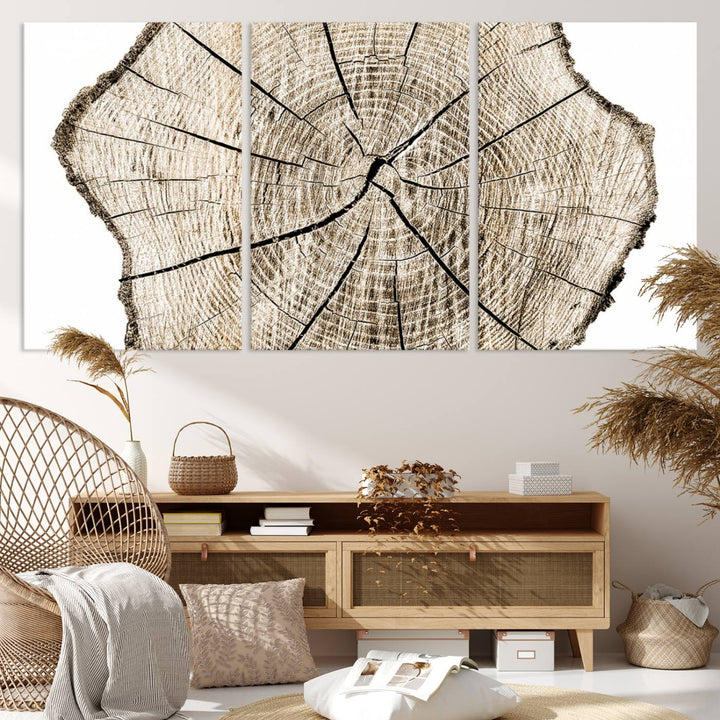 Wood Tree Ring Wall Art Canvas Prints, Lake House and Farmhouse Wall Art Decor