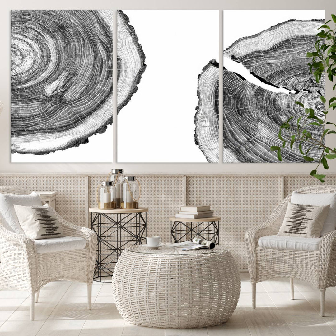 Wood Tree Ring Wall Art Canvas Prints, Lake House and Farmhouse Wall Art Decor