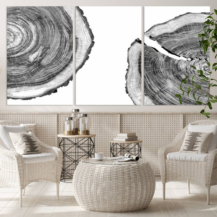 Wood Tree Ring Wall Art Canvas Prints, Lake House and Farmhouse Wall Art Decor