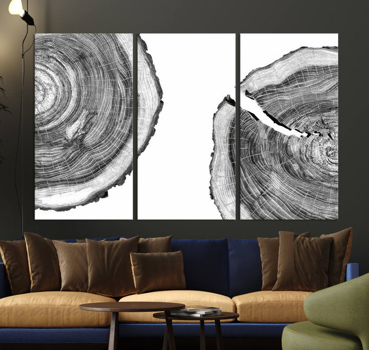 Wood Tree Ring Wall Art Canvas Prints, Lake House and Farmhouse Wall Art Decor