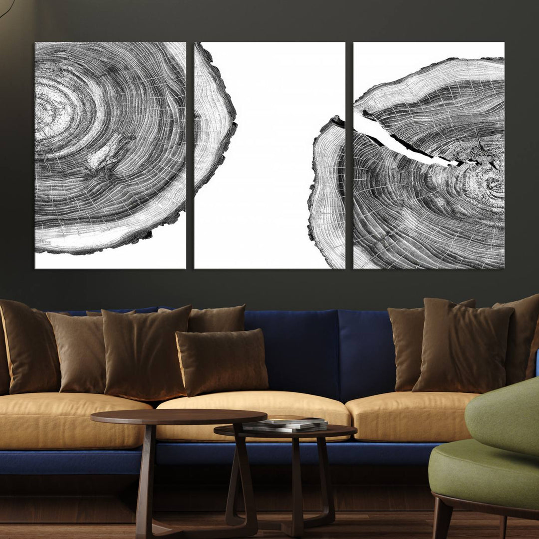 Wood Tree Ring Wall Art Canvas Prints, Lake House and Farmhouse Wall Art Decor