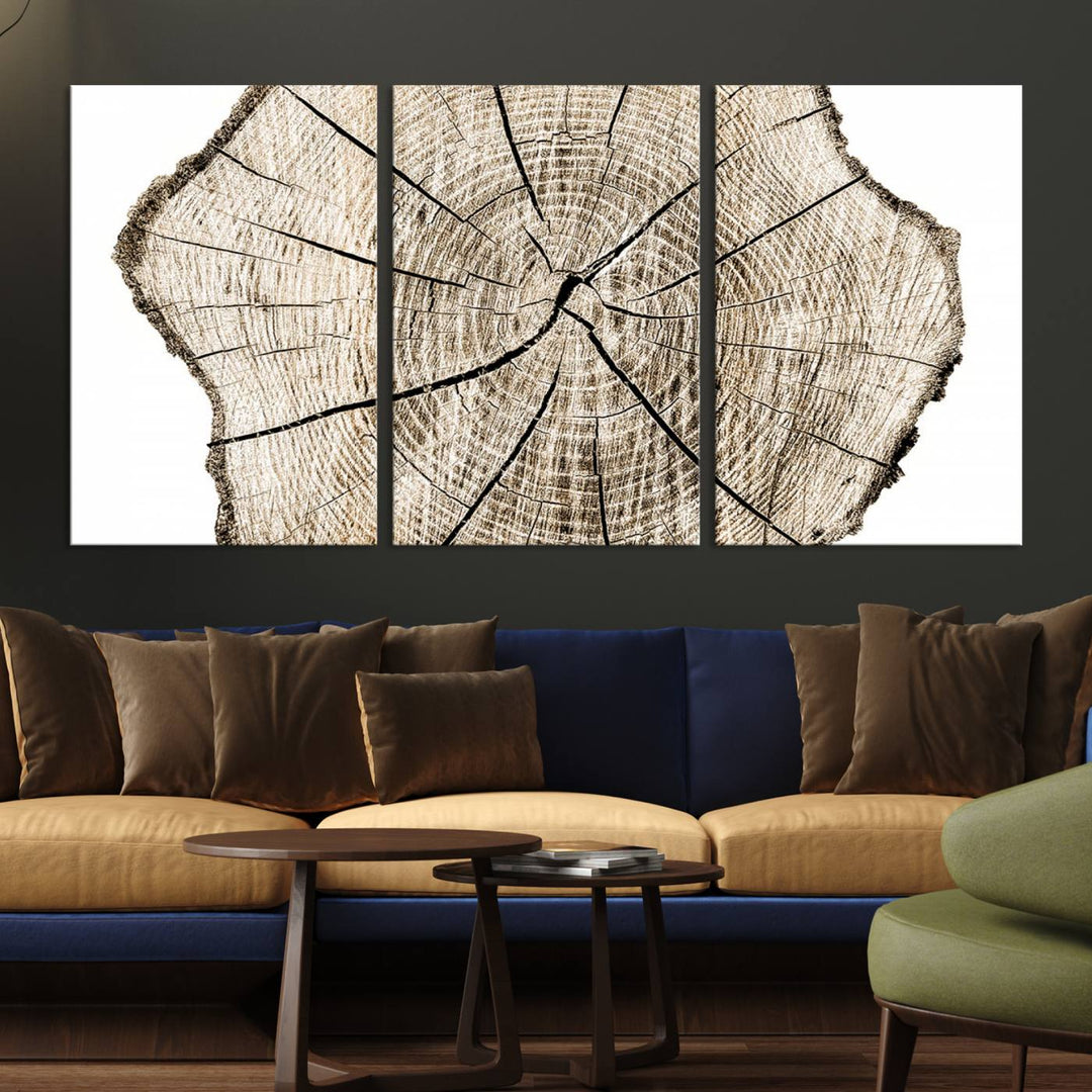 Wood Tree Ring Wall Art Canvas Prints, Lake House and Farmhouse Wall Art Decor