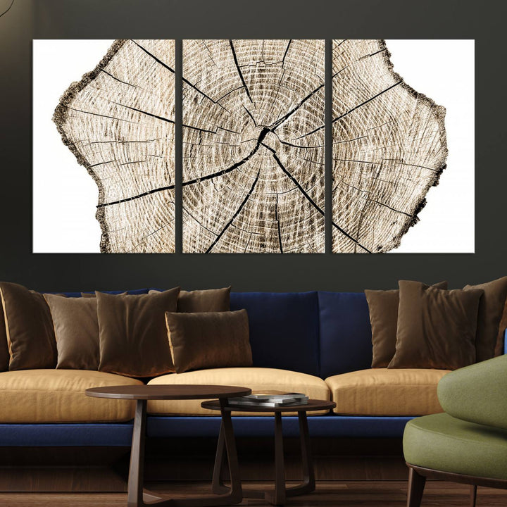 Wood Tree Ring Wall Art Canvas Prints, Lake House and Farmhouse Wall Art Decor