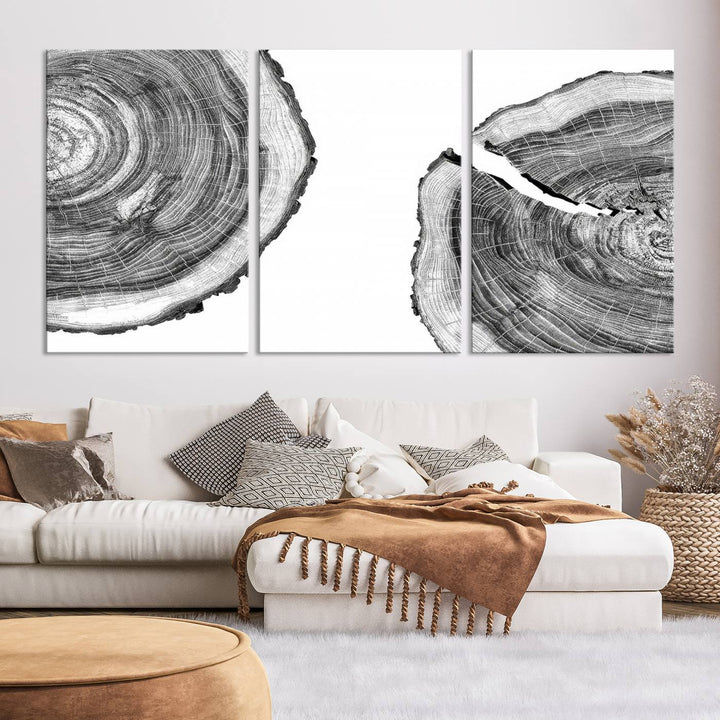 Wood Tree Ring Wall Art Canvas Prints, Lake House and Farmhouse Wall Art Decor