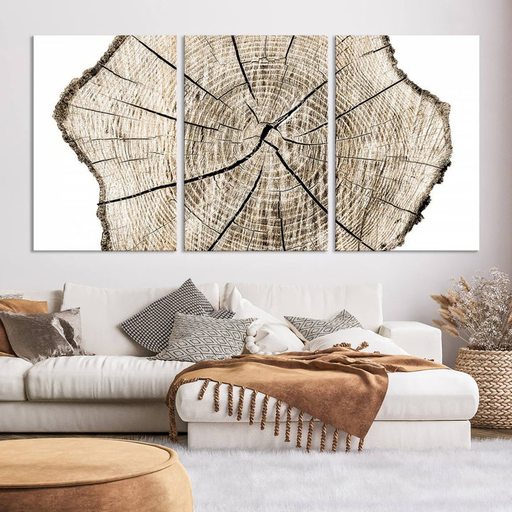 Wood Tree Ring Wall Art Canvas Prints, Lake House and Farmhouse Wall Art Decor