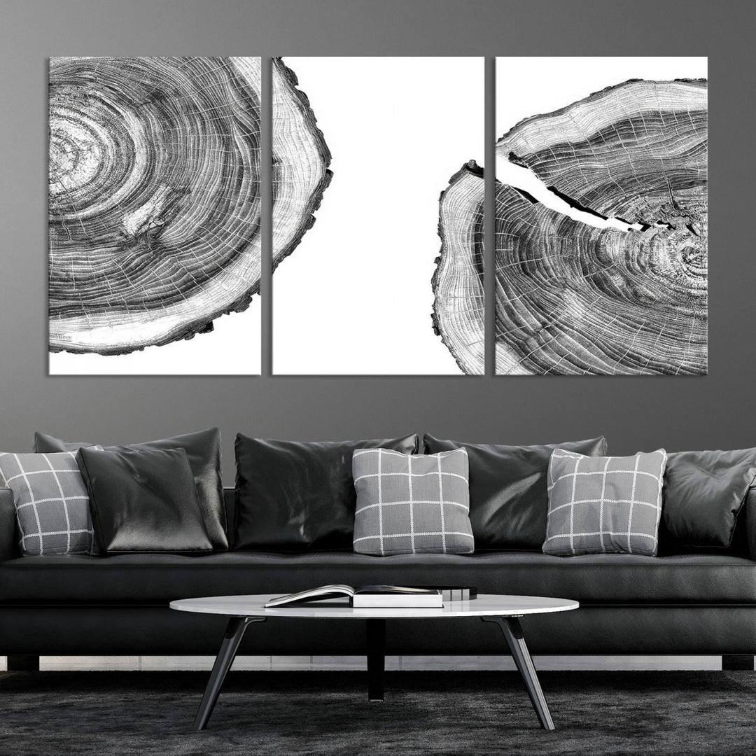 Wood Tree Ring Wall Art Canvas Prints, Lake House and Farmhouse Wall Art Decor